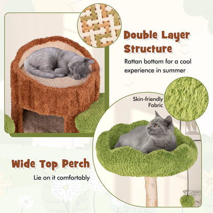 Multi-Level Cat Tree Tree Hole Designed Cat Tower with Double Decker Cat House